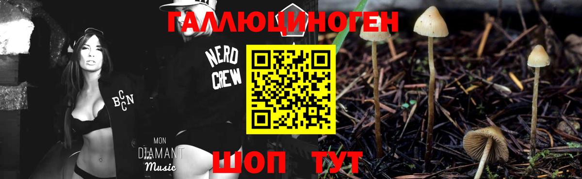 Псилоцибиновые грибы Psilocybe  Галлюциногенные грибы Psilocybe  Вход с VPN  Новоуральск 